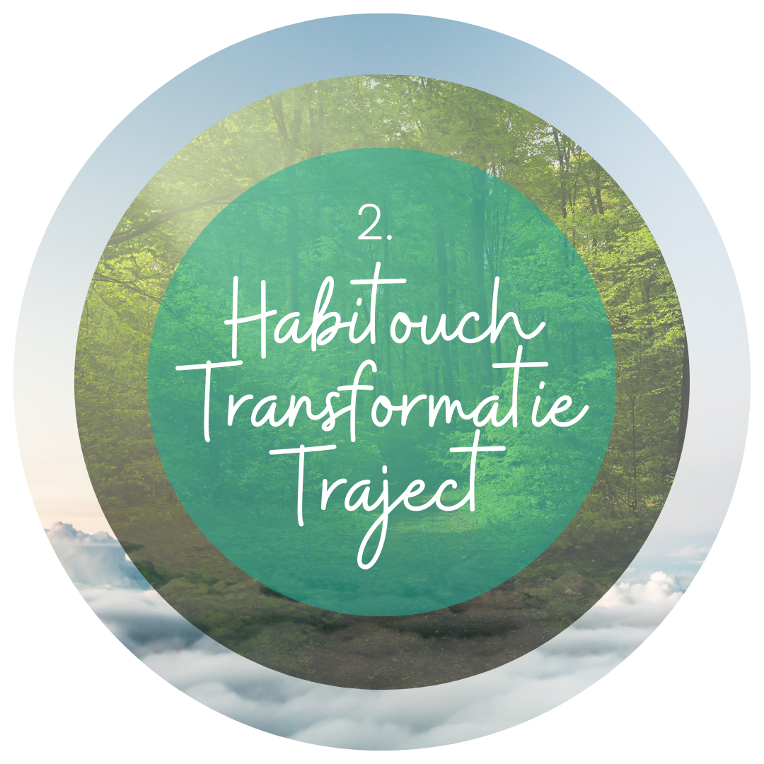 Habitouch Transformatie Traject