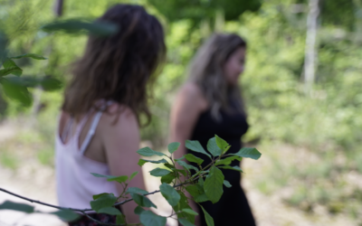 Natuurcoaching bij Overprikkeling: De Krachtige Reset voor Hoogsensitieve Personen (HSP’s)