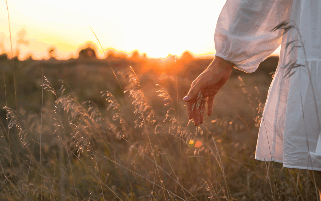Natuurcoaching voor HSP: hoe de natuur helpt om balans te herstellen en innerlijke rust te vinden