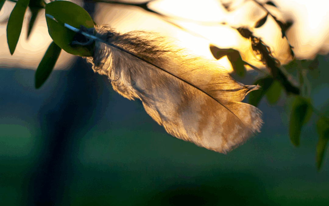 HSP & ADD: De verschillen uitgelegd (en waarom het zo belangrijk is om dit te weten)