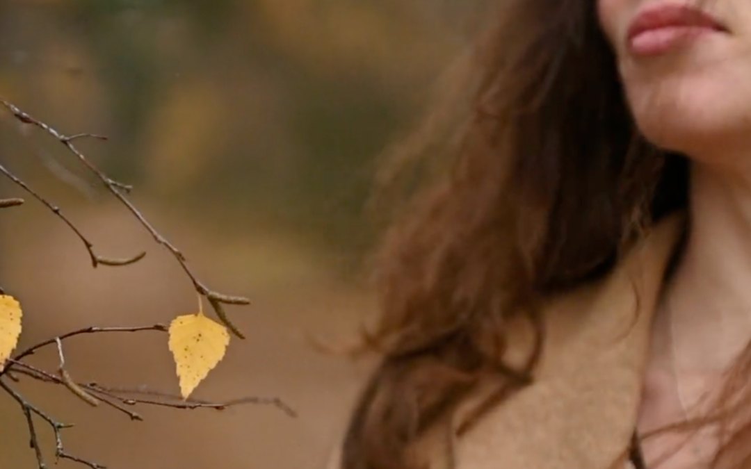 HSP Kenmerken: herken jij jezelf als hoogsensitief persoon?